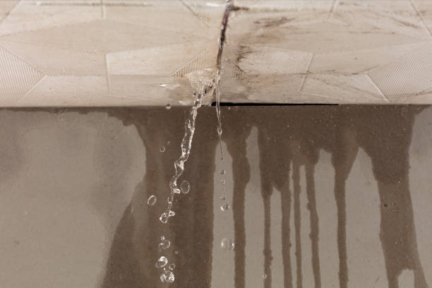 Professional Structural Drying technician working in New Hyde Park, NY